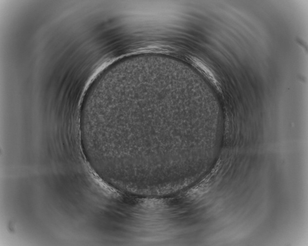 X0000096680800200803041239