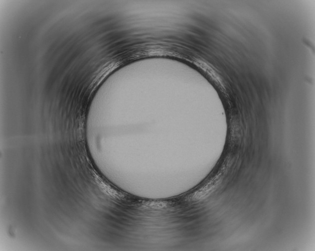 X0000096680801200803041239