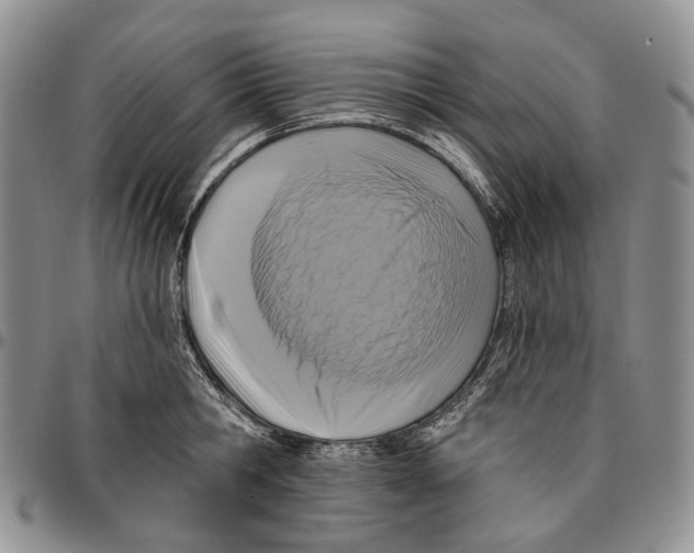 X0000096680806200803041239