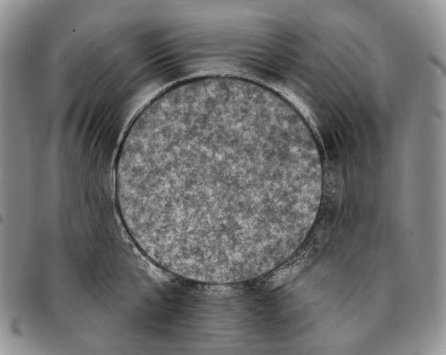 X0000096680807200803041239