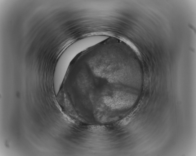 X0000096680809200803041239