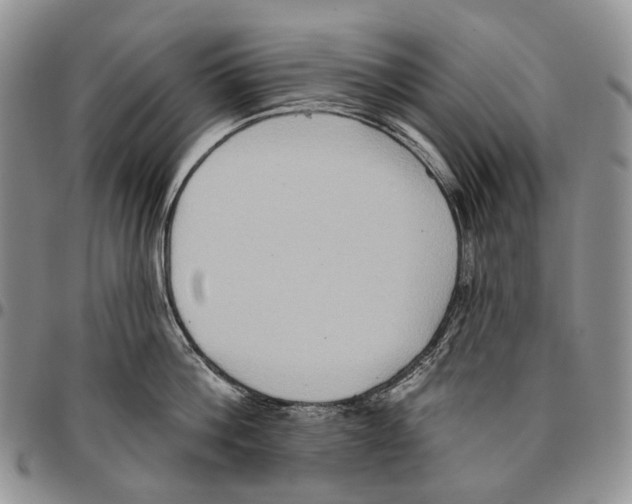 X0000096680812200803041239