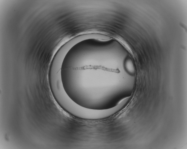 X0000096680813200803041239