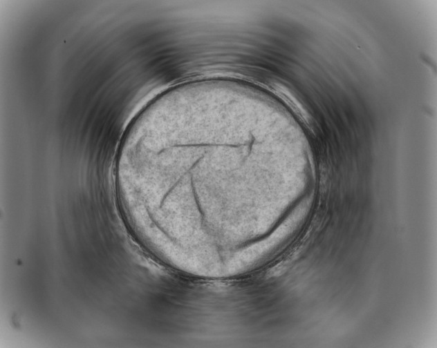 X0000096680814200803041239