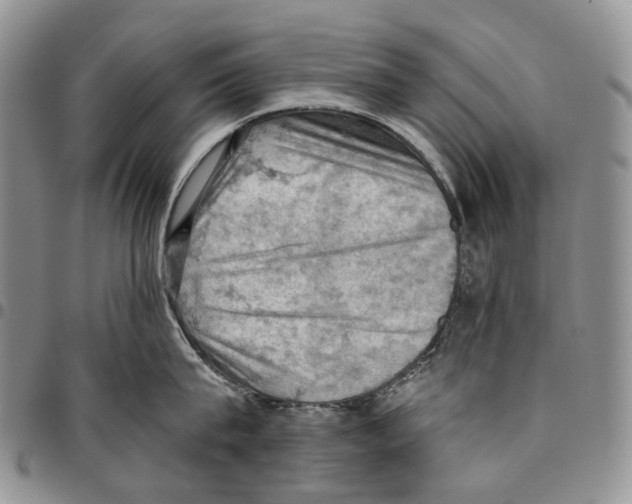 X0000096680815200803041239