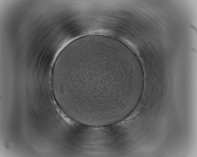X0000096680816200803041239