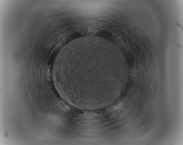 X0000096680818200803041238