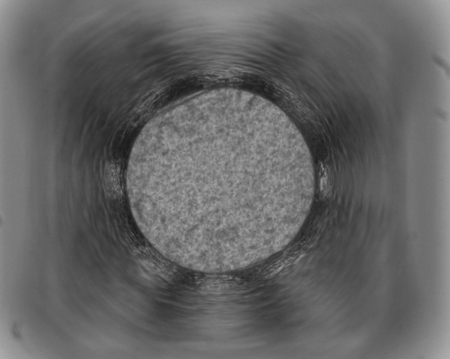 X0000096680819200803041238