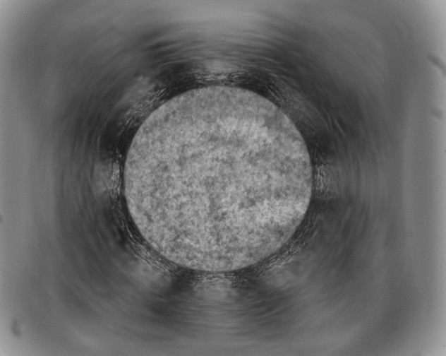 X0000096680820200803041238