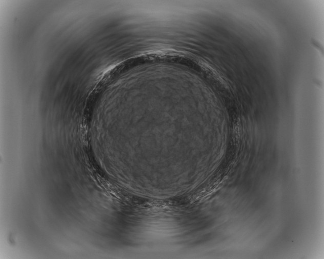 X0000096680822200803041238