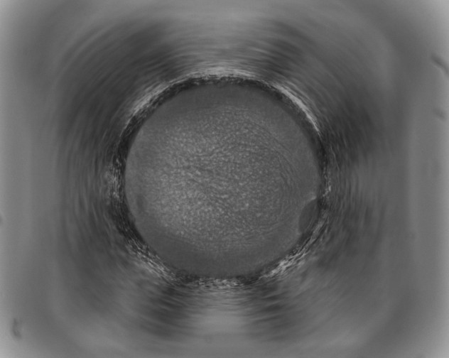 X0000096680823200803041238