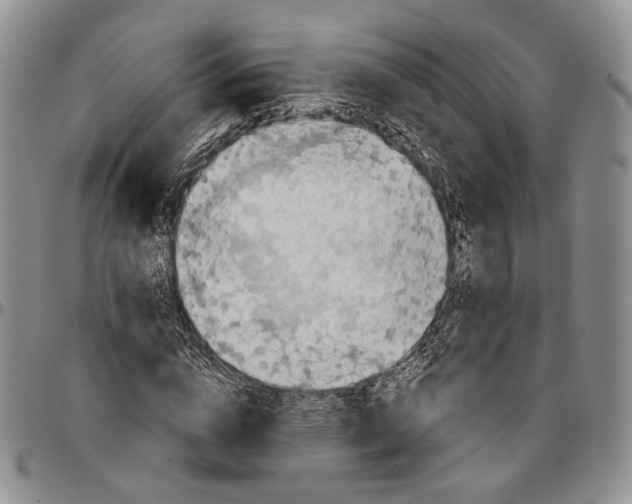 X0000096680824200803041238