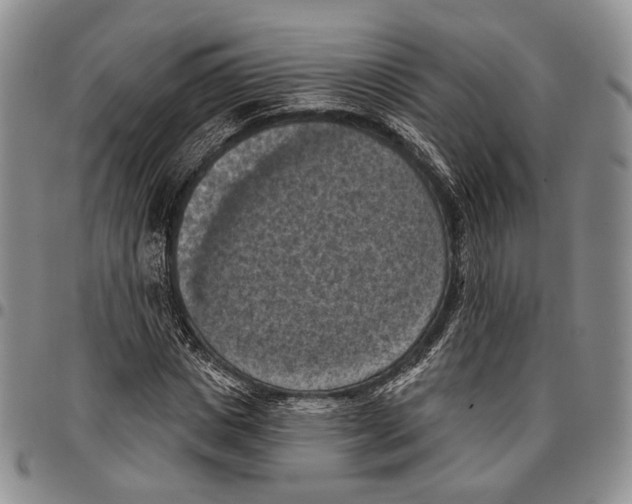 X0000096680825200803041238