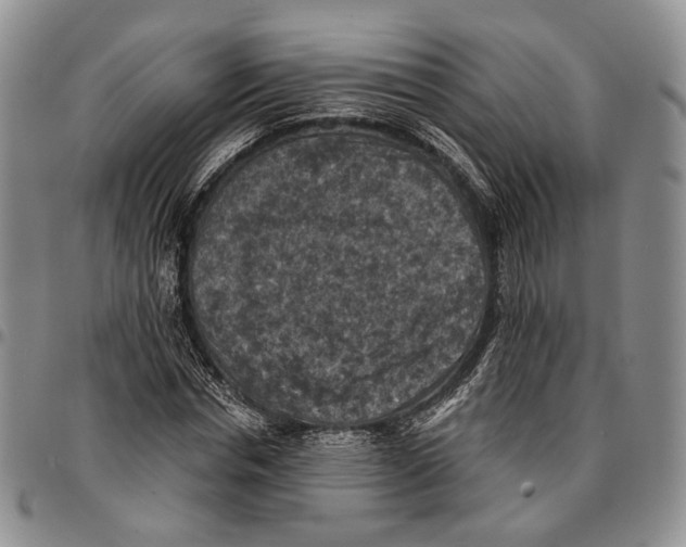 X0000096680826200803041238