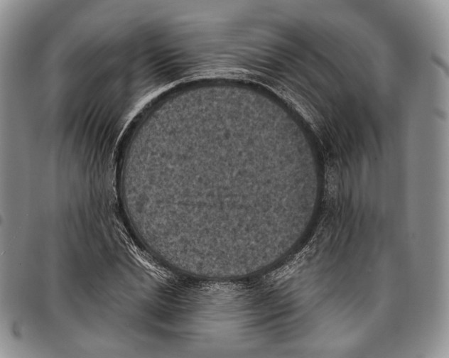 X0000096680830200803041238