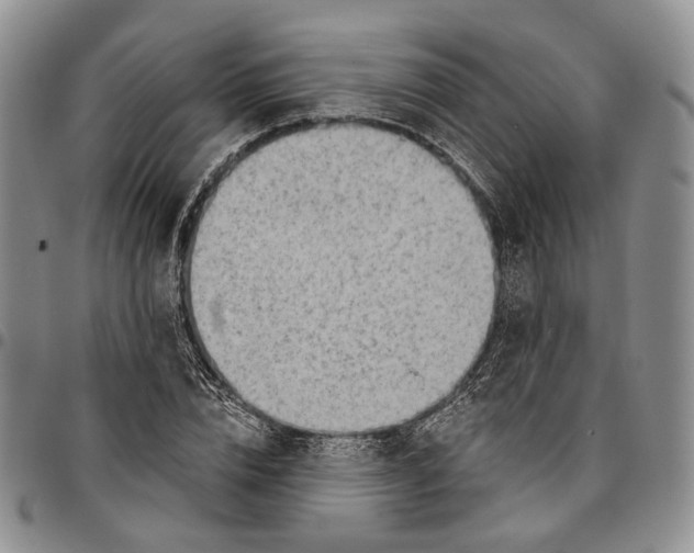 X0000096680832200803041238
