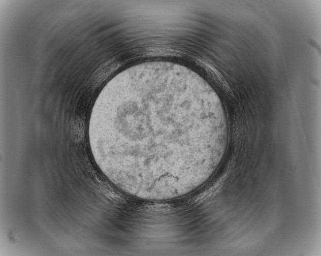 X0000096680833200803041239