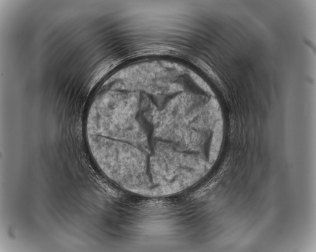 X0000096680834200803041239