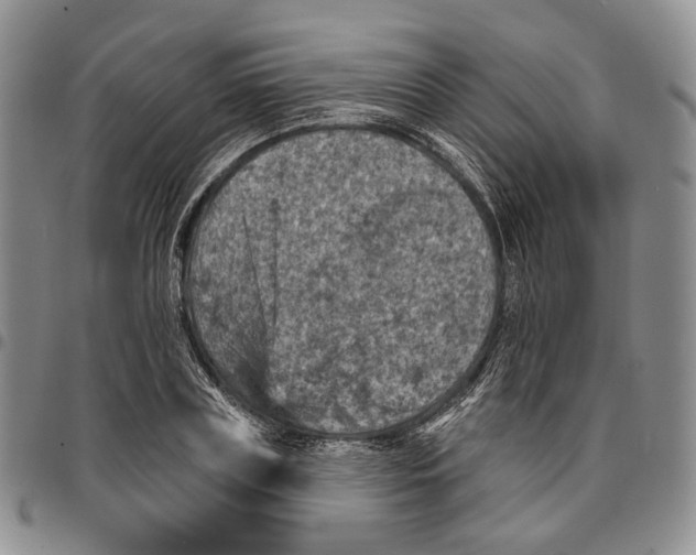 X0000096680835200803041239