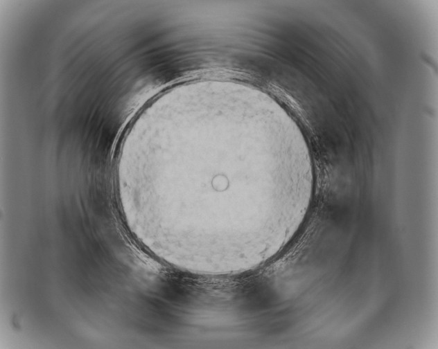 X0000096680836200803041239