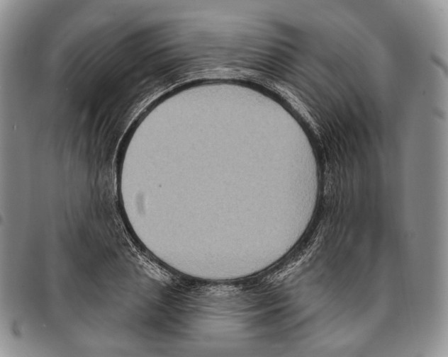 X0000096680837200803041239