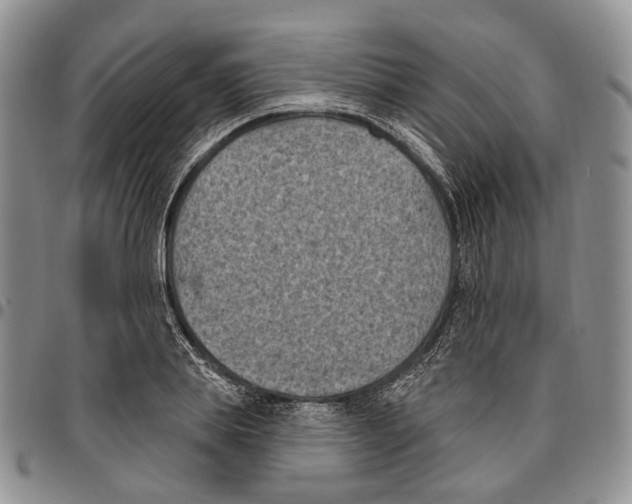 X0000096680839200803041239