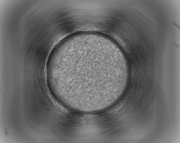 X0000096680840200803041239