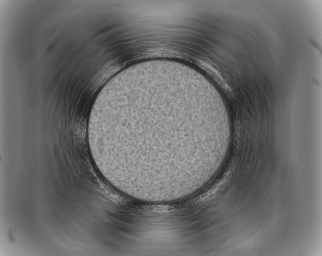 X0000096680841200803041239
