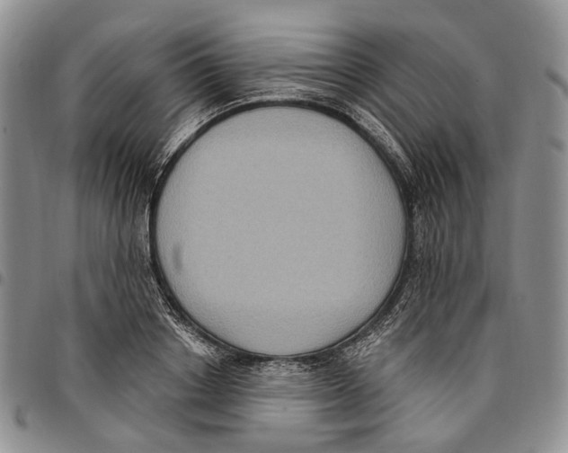 X0000096680842200803041239