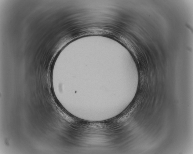 X0000096680843200803041239