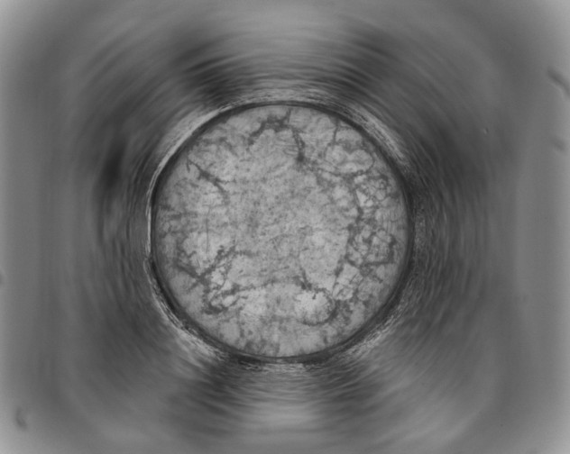 X0000096680844200803041239