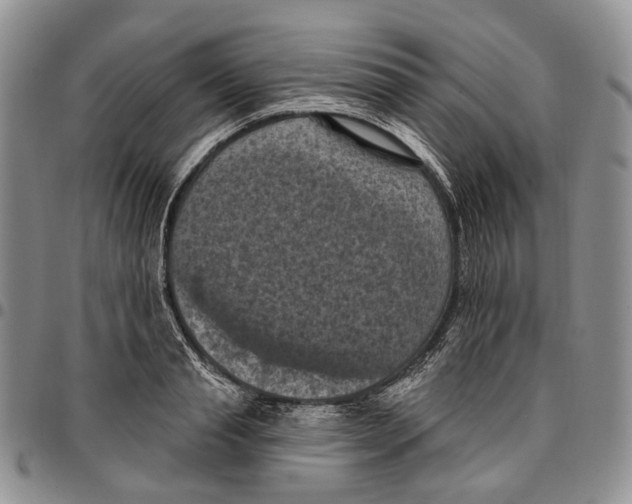 X0000096680845200803041239