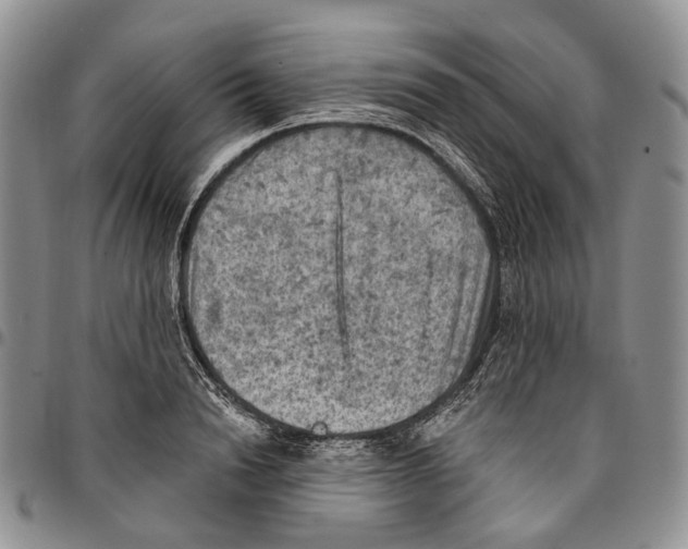 X0000096680846200803041239