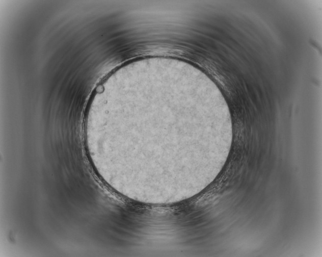X0000096680848200803041239