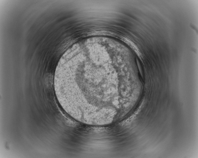 X0000096680849200803041239