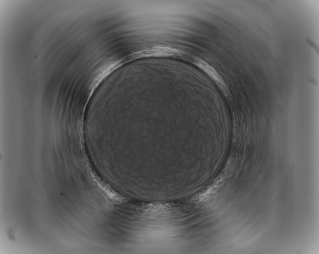 X0000096680850200803041239