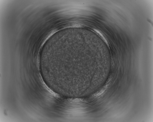 X0000096680851200803041239