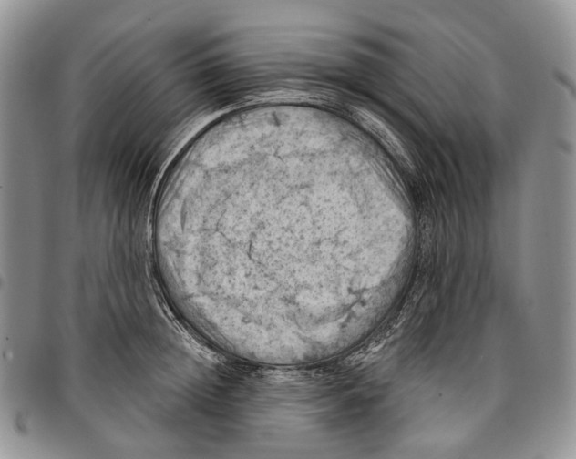 X0000096680852200803041239