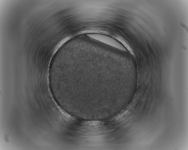 X0000096680853200803041239