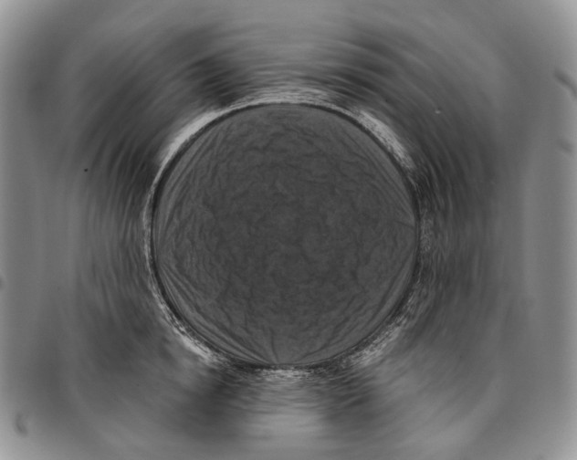 X0000096680854200803041239