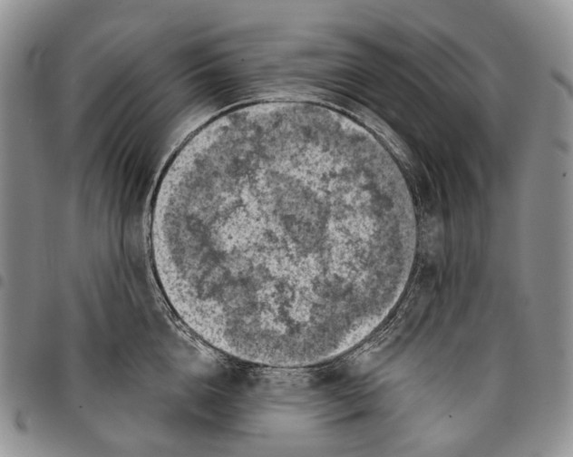 X0000096680856200803041239