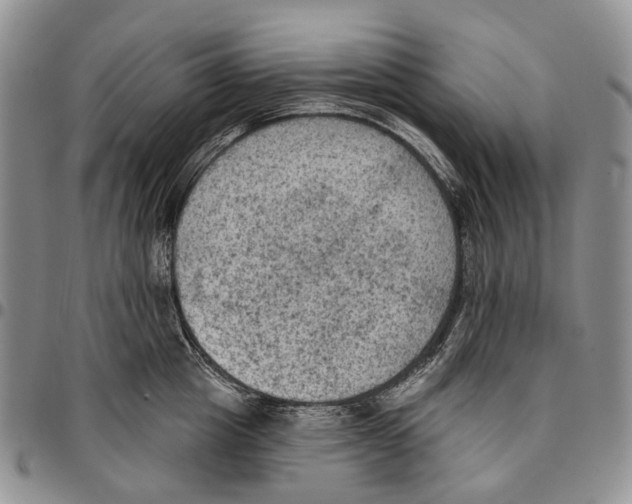 X0000096680857200803041239