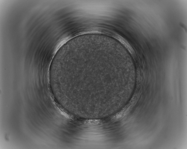 X0000096680858200803041239