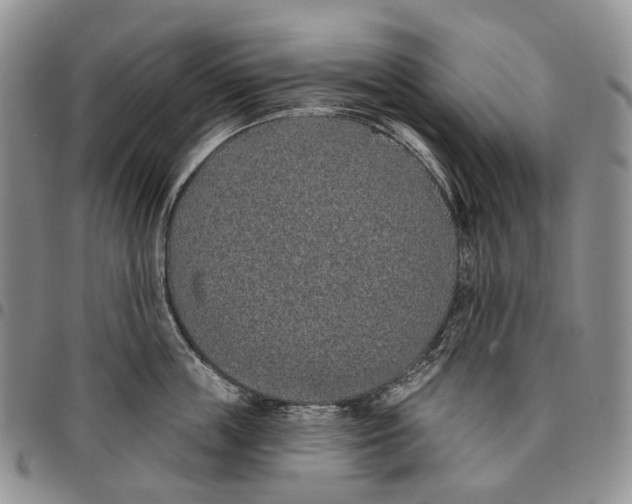 X0000096680859200803041239