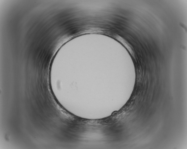 X0000096680861200803041239