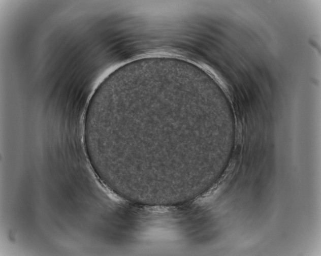 X0000096680862200803041239