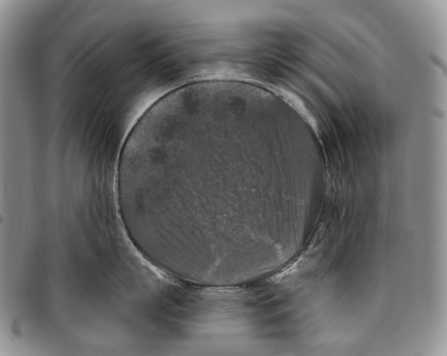 X0000096680863200803041239