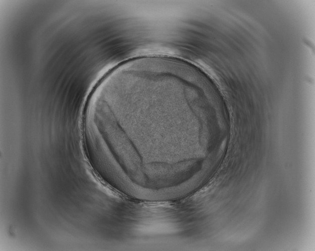 X0000096680864200803041239