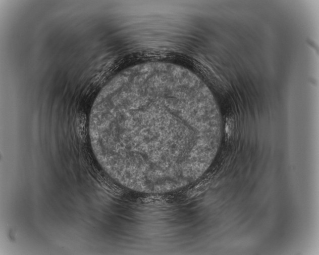 X0000096680867200803041238