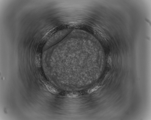 X0000096680868200803041238